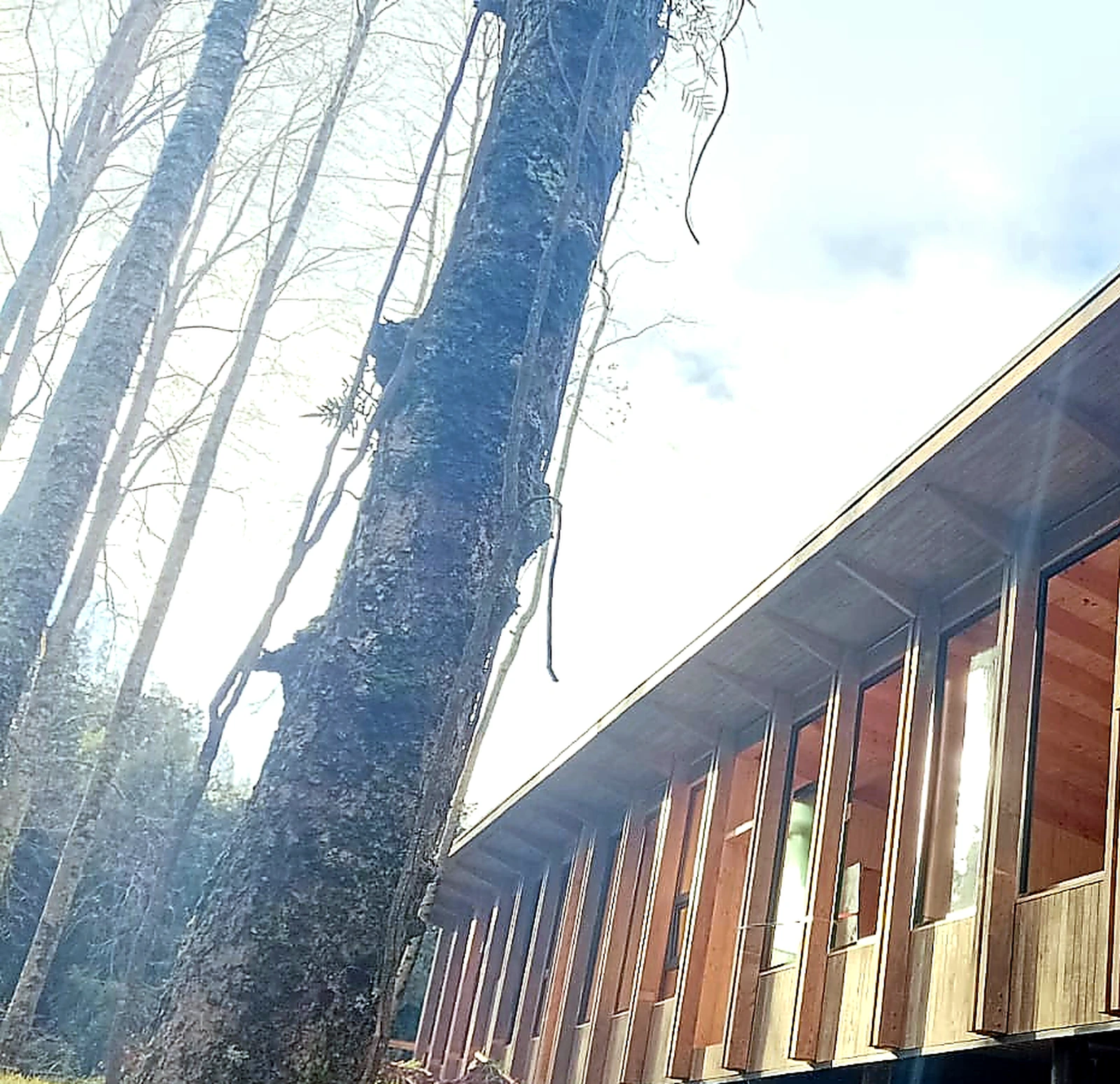 Arquitectura contemporánea en el sur